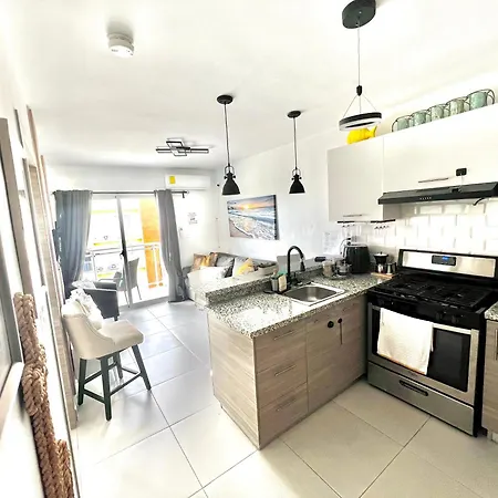 Punta Cana One Bedroom Apartment Residencial Crisfer 17A Apartamento 405